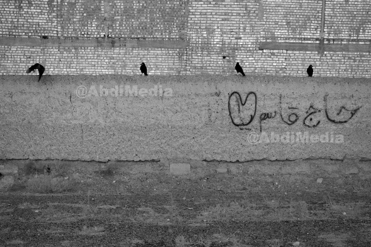 عکس مخاطبین