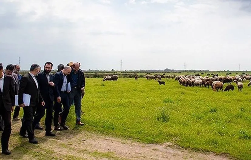 سازمان امور اراضی: زمین «پتروشیمی میانکاله» پس گرفته می‌شود