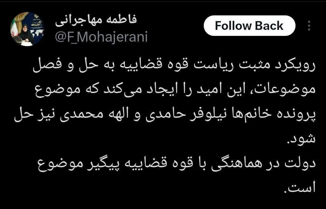 مهاجرانی: دولت پیگیر پرونده نیلوفر حامدی و الهه محمدی است
