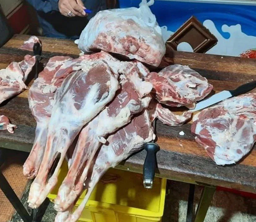  کشف ۱۴۳۰۰ تن گوشت احتکاری