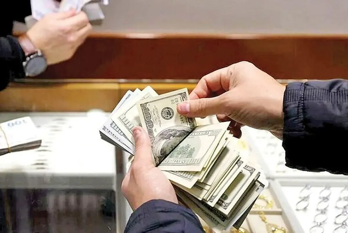  دلار حتما گران تر خواهد شد/ یک اقتصاددان: بانک مرکزی از بالا رفتن قیمت دلار راضی است