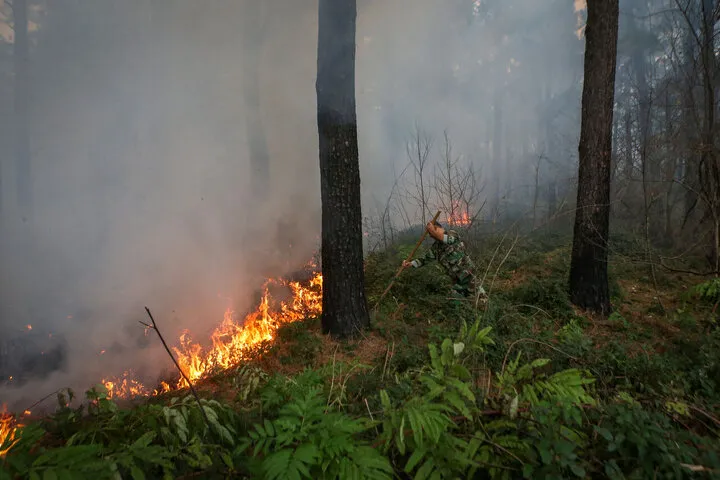  آب و هوای سواحل شمال ایران مثل لس آنجلس است/ آتش‌سوزی‌های جنگلی مشابه جنوب کالیفرنیا ممکن است/خطر آتش‌سوزی را جدی بگیریم