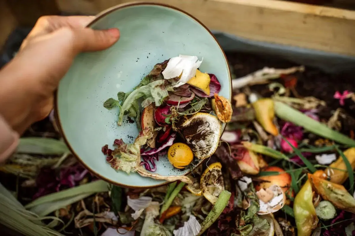  آمار عجیب دورریز سالانه؛ معادل غذای ۱۵ میلیون ایرانی!