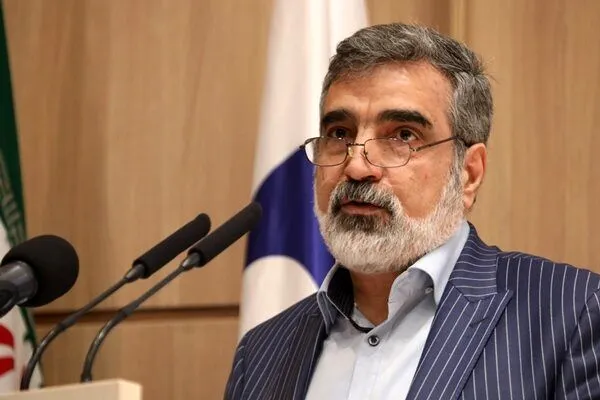 پیش‌بینی کمالوندی از آثار این قطع نامه در شورای امنیت؛ نتیجه بخش نیست