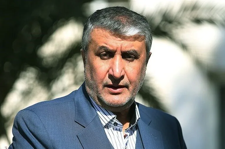 بشنوید | واکنش صریح محمد اسلامی رئیس سازمان انرژی اتمی نسبت به نامه تند اخیر آژانس بین‌المللی انرژی اتمی 