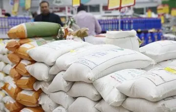 کدام اشتباه آماری قیمت برنج را گران کرد؟ / برنج را از کشاورز کیلویی ۷۰ هزار تومان می‌خرند