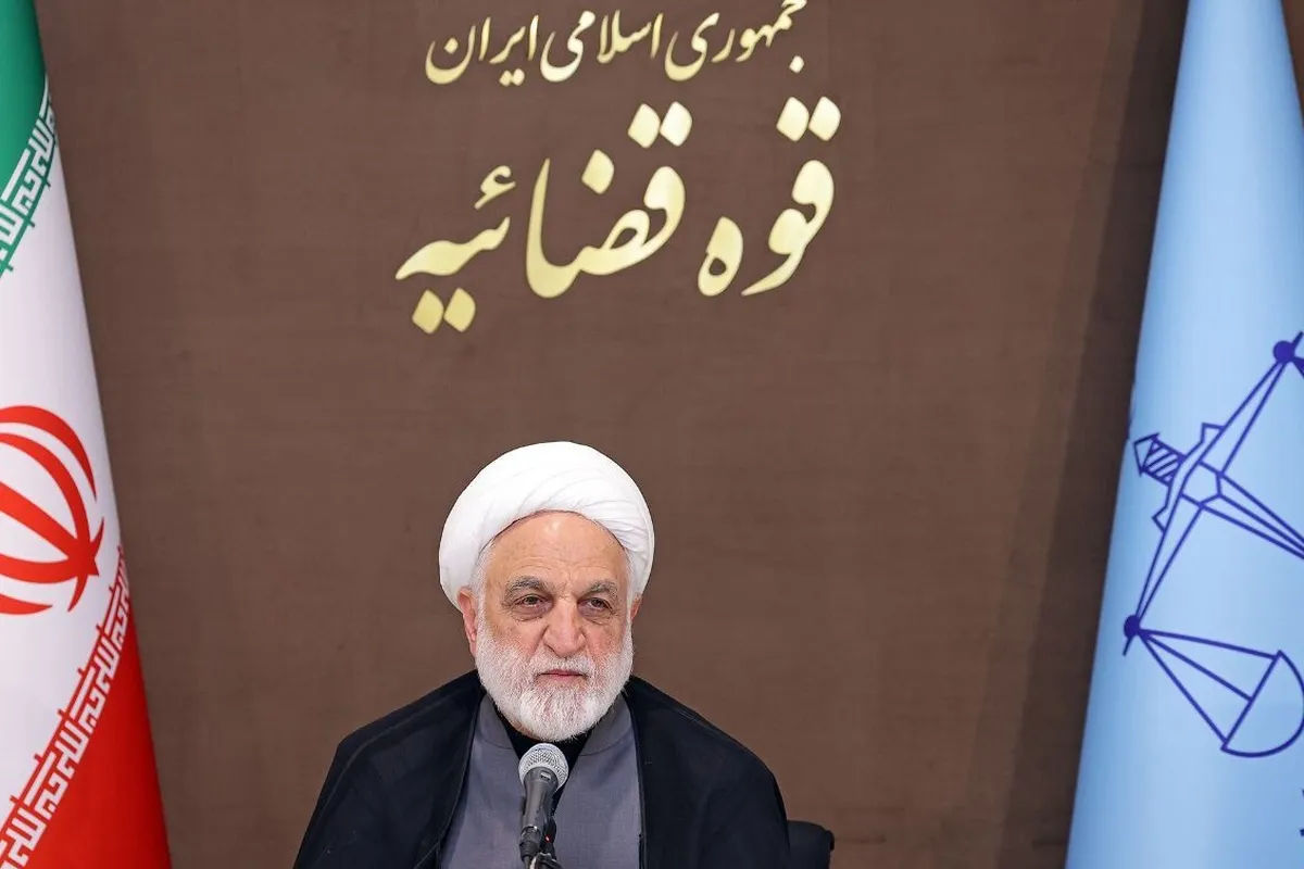 محسنی اژیه: جرم «همکاری با دشمن» با «جاسوسی» متفاوت است