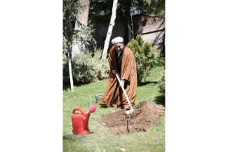 هال‌هایی که در روز درختکاری توسط رهبر جمهوری اسلامی و روسای جمهور ادوار کاشته میشوند، چه شدند