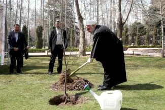 هال‌هایی که در روز درختکاری توسط رهبر جمهوری اسلامی و روسای جمهور ادوار کاشته میشوند، چه شدند