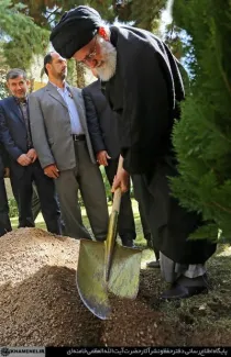 هال‌هایی که در روز درختکاری توسط رهبر جمهوری اسلامی و روسای جمهور ادوار کاشته میشوند، چه شدند