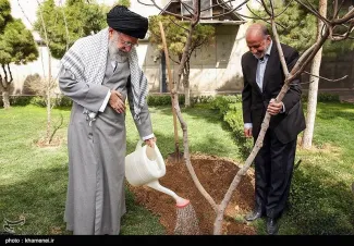 نهال‌هایی که در روز درختکاری توسط رهبر جمهوری اسلامی و روسای جمهور ادوار کاشته میشوند، چه شدند
