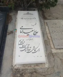 سعید امامی، بهم ریختگی و معما، خادم یا خائن به جمهوری اسلامی؟