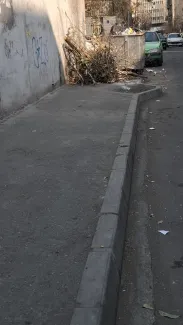  قطع درختان محدوده مرکزی شهر ادامه دارد 