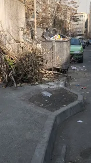  قطع درختان محدوده مرکزی شهر ادامه دارد 