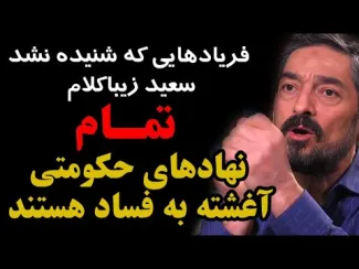 ببینید فریادهای سعید زیباکلام که شنیده نشد؛ تمام نهادهای حکومتی آغشته به فساد هستند