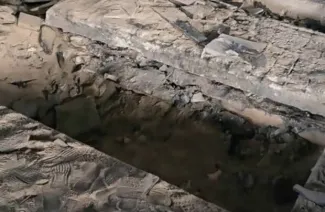 نبش قبر حافظ اسد در سوریه