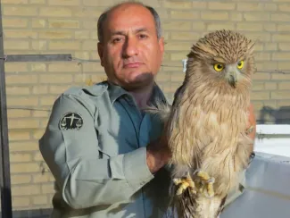  دستور دادستان کهگیلویه و بویراحمد برای شناسایی عاملان شهادت محیط‌بان در کوه خائیز