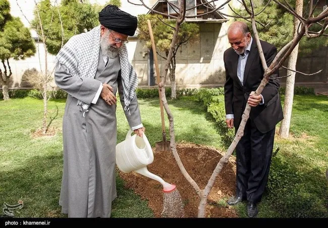 نهال‌هایی که در روز درختکاری توسط رهبر جمهوری اسلامی و روسای جمهور ادوار کاشته میشوند، چه شدند