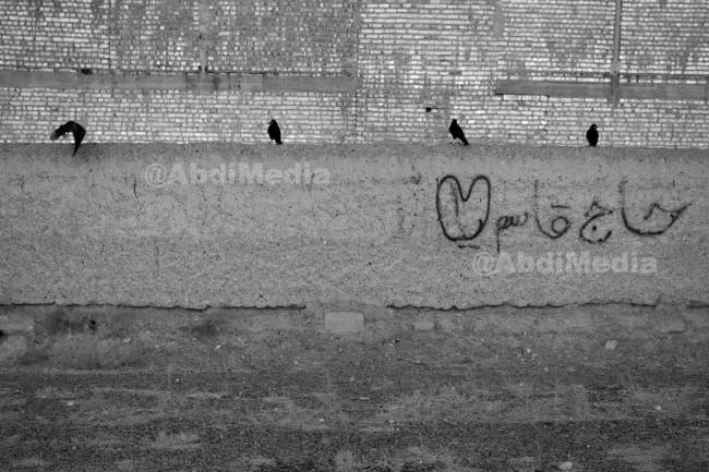 عکس مخاطبین