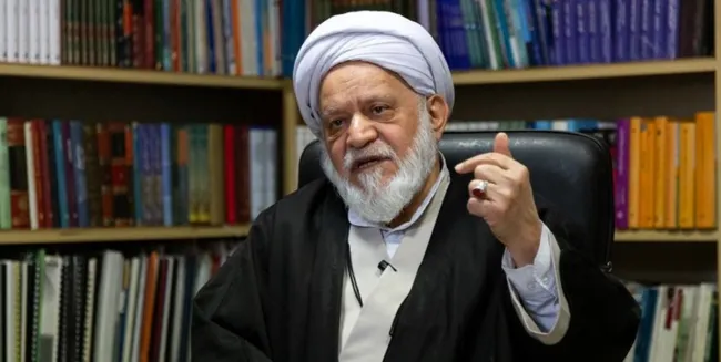 تاییدی بر یادداشت عبدی مدیا / مصباحی‌مقدم: قوانین مجمع تشخیص توسط خود مجمع تدوین می‌شود و رهبری هم تایید می‌کنند؛ مجلس نمی‌تواند برای ما قانون وضع کند