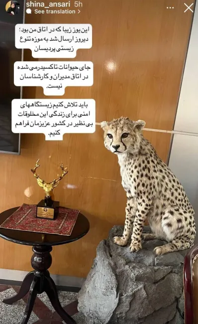  ‏انتقال تاكسيدرمى یوز از اتاق معاون رئيس‌جمهور