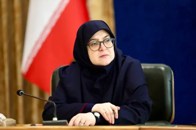  فاطمه مهاجرانی، سخنگوی هیات دولت گفت: به پیشنهاد وزیر اقتصاد ودارایی و تصویب هیات وزیران دکترمعصومه آقاپورعلیشاهی،دکتر رحمت الله صادقیان و دکترحمیدکردبچه به عنوان خبره مالی عضو شورای عالی بورس تعیین شدند.