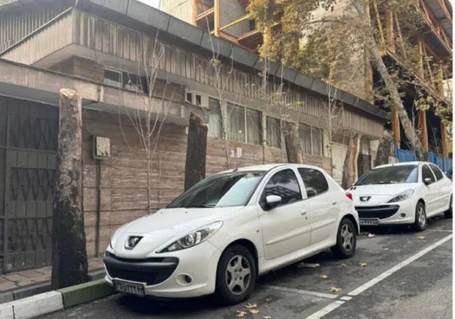 کیفرخواست متهم پرونده قطع درختان خیابان فرشته صادر شد