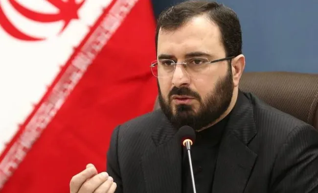 هاشمی مسئول سازمان اوج شد