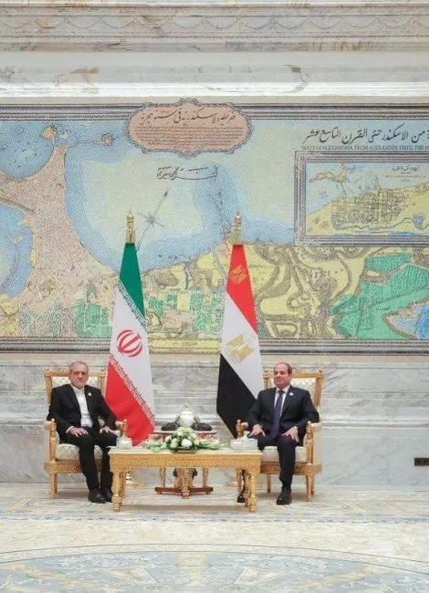 دیدار روسای جمهور ایران و مصر در حاشیه نشست اعضای گروه دی۸ در قاهره