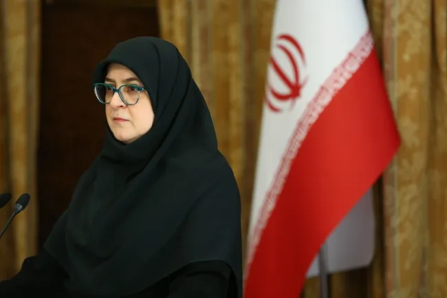 ابراز همدردی سخنگوی دولت با حادثه‌دیدگان آتش سوزی در کالیفرنیا