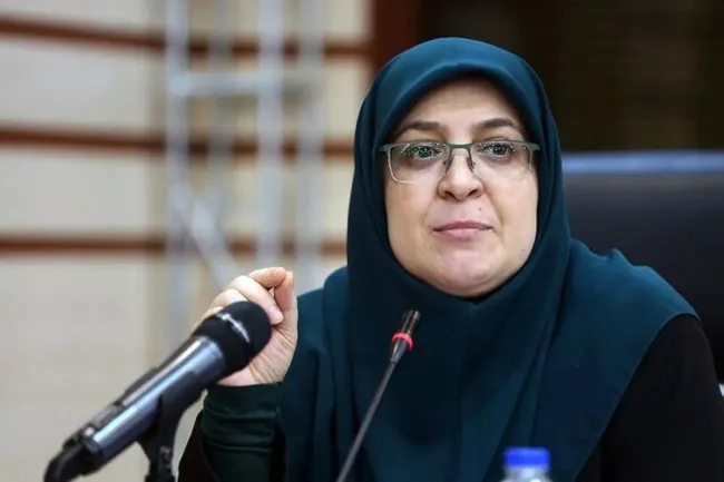 روایت مهاجرانی سخنگوی دولت در مورد دیدار عارف و کروبی