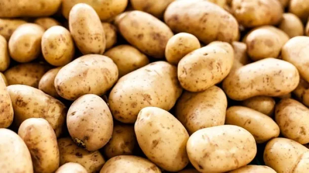  سیب زمینی را ابتدای سال مفت صادر کردیم و امروز با قیمت گزاف وارد می‌کنیم