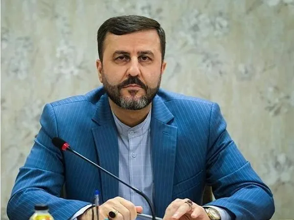  غریب آبادی: اگر چارچوب‌ها تفاهم شود کار متن نویسی آغاز می‌شود