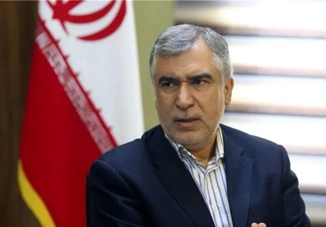 عضو کمیسیون امنیت ملی و سیاست خارجی مجلس دوازدهم