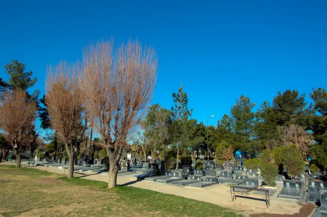 کشف اشیای گرانبهای تاریخی در بهشت زهرا صحت دارد؟