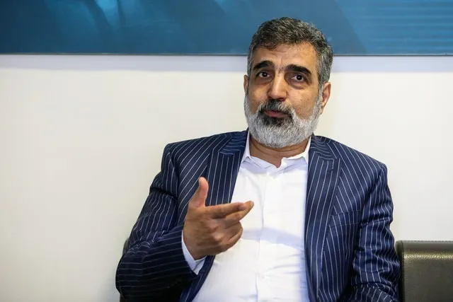 سخنگوی سازمان انرژی اتمی: اگر آژانس قدردان همکاری ما نباشد، همکاری‌ها را به‌سطح عادی می‌رسانیم