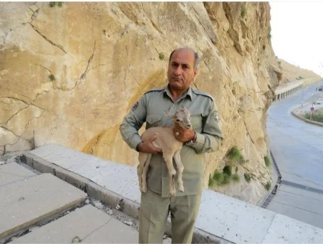  شهادت یک محیط‌بان در درگیری با شکارچیان غیرمجاز