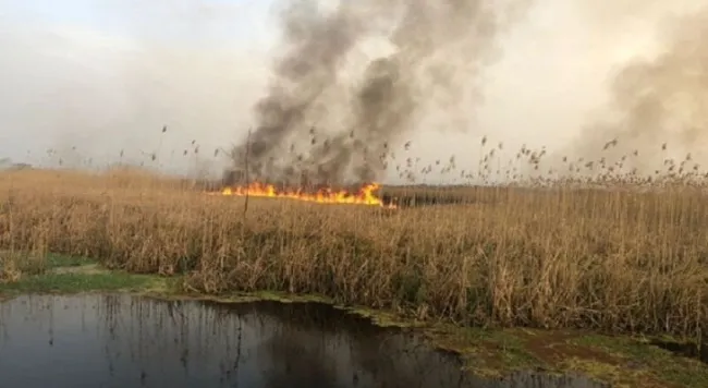  عامل اصلی آلودگی هوای خوزستان و آتش‌سوزی‌های مکرر در تالاب هورالعظیم عراق