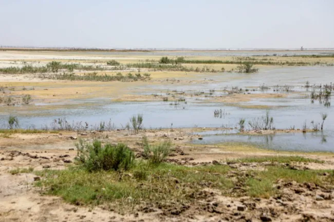  تالاب خشکیده «صالحیه» منشأ گرد و غبار در تهران