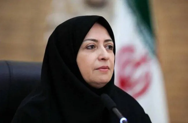 شینا انصاری، رییس سازمان حفاظت محیط زیست: تالاب صالحیه، كانون اصلی گردوغبار اين روزهای تهران