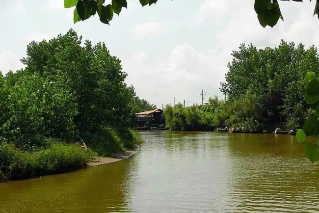  خشک شدن رودخانه "سیاه‌درویشان" در گیلان؛ بحران از کجا آب می‌خورد؟