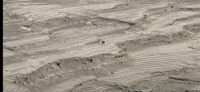 عکس: رضا مستوری