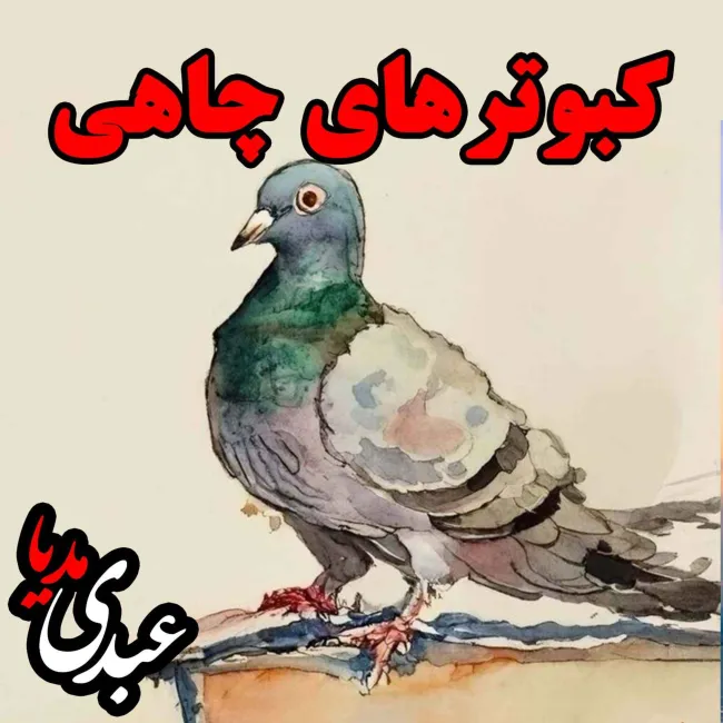 بشنوید | قصه‌های ظهر جمعه کبوترهای چاهی