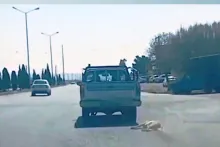  رئیس پلیس سمنان: در پی انتشار تصاویر دلخراش از حیوان آزاری در یکی از خیابان‌های شهر سمنان، فرد خاطی شناسایی و به پلیس فتا احضار شد.