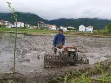 تلاش و کوشش این روزهای شالیکاران مازندرانی برای آماده کردن شالیزارها 
