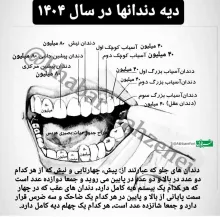  دیه هر دندان در سال ۱۴۰۴ چقدر است؟