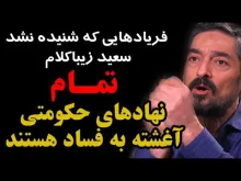 ببینید فریادهای سعید زیباکلام که شنیده نشد؛ تمام نهادهای حکومتی آغشته به فساد هستند