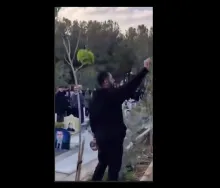 به ادعاها و تظلم خواهی این پدر دادخواه جوان از دست داده رسیدگی دقیق خواهید کرد؟