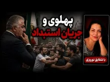 شقایق نوروزی: همین‌الان جریان استبدادی خارج از مرز ایران ایجاد شده